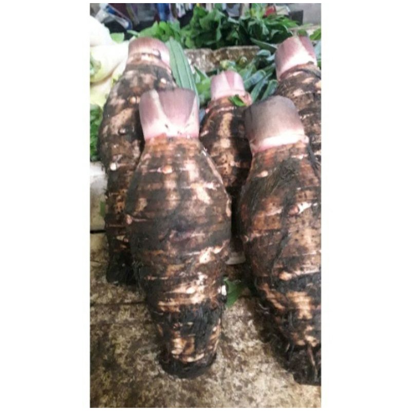 Tales kalimantan 1kg