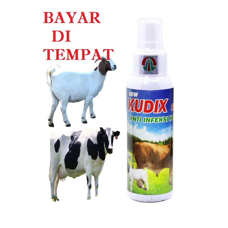 OBAT SEMPROT ANTI KORENG BOROK SAPI KERBAU JAMUR SCABIES KAMBING AMPUH KUDIX SPREY