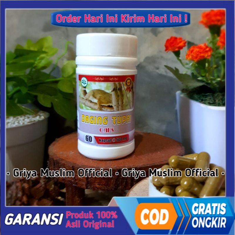 BISA COD Daging Tupai Kapsul Herbal Daging Tupai Isi 60 Kapsul Daging Tupai Original 100%