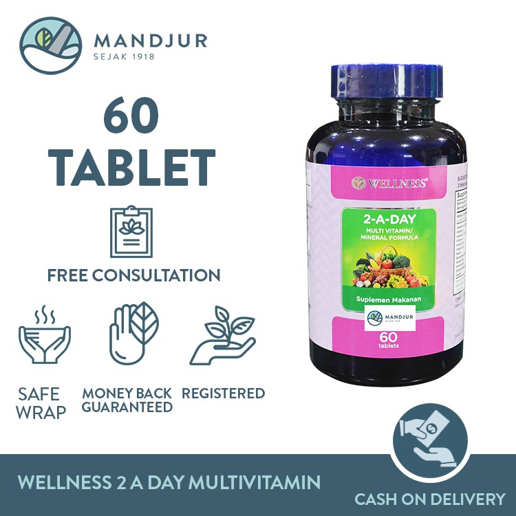Wellness 2 A Day Multivitamin Dan Mineral Formula 60