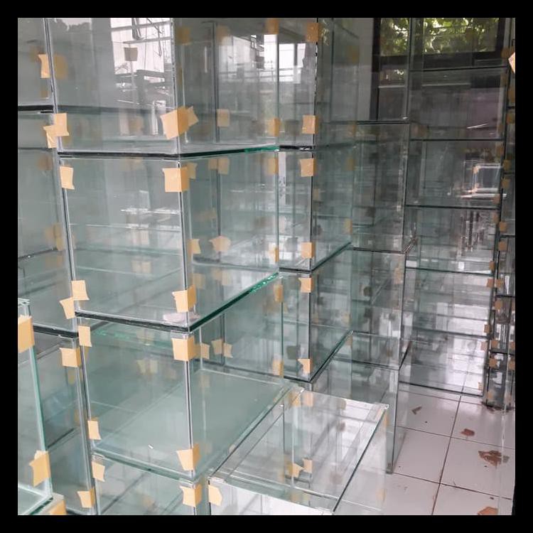 Aquarium Kaca 60X30X35 Best Seller