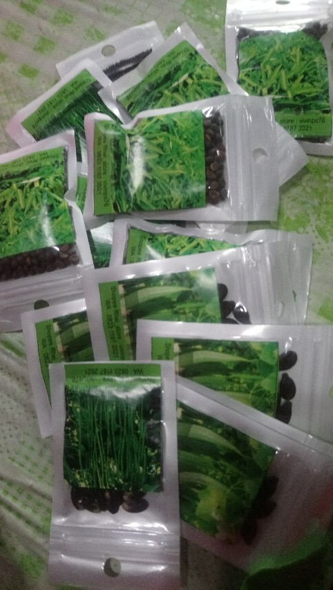 200 Biji Benih Kangkung Bangkok Cap Panah Merah