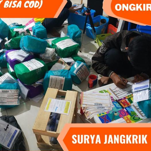 

Flash Sale - Surya Jangkrik penjual telur jangkrik alam madu GRATIS panduan penetasan 시