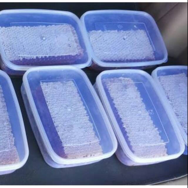 

Madu sarang