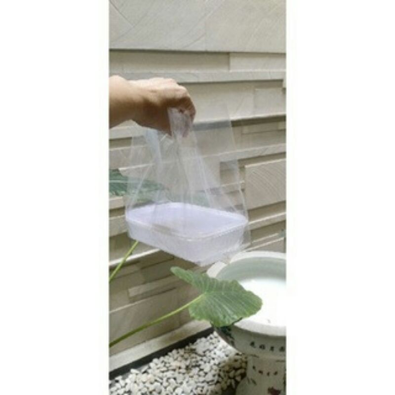 SR PLASTIK Kresek plong pe bening 20x12