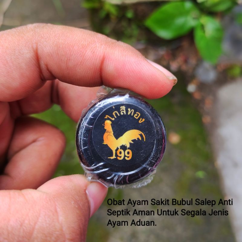 Obat Salep Bubul 99 Obat Ayam Sakit Bubul Salep Anti Septik Aman Untuk Segala Jenis Ayam Aduan Laga 