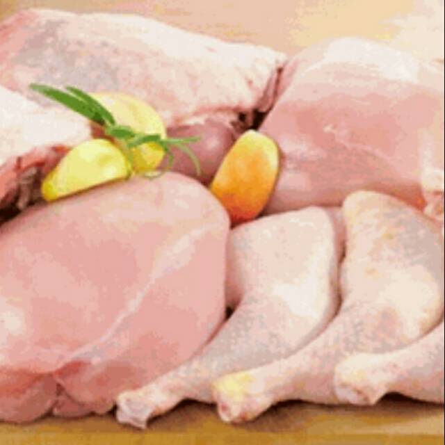 

Daging Ayam Paha Dada Sayap Segar 500 gr - Gerobak Sayur Palembang