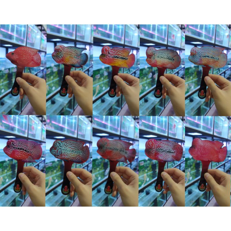 Wayang Ikan Louhan 10cm x 14cm Acrylic Dua Sisi, Bahan Fleksibel Mainan Untulan Perrot