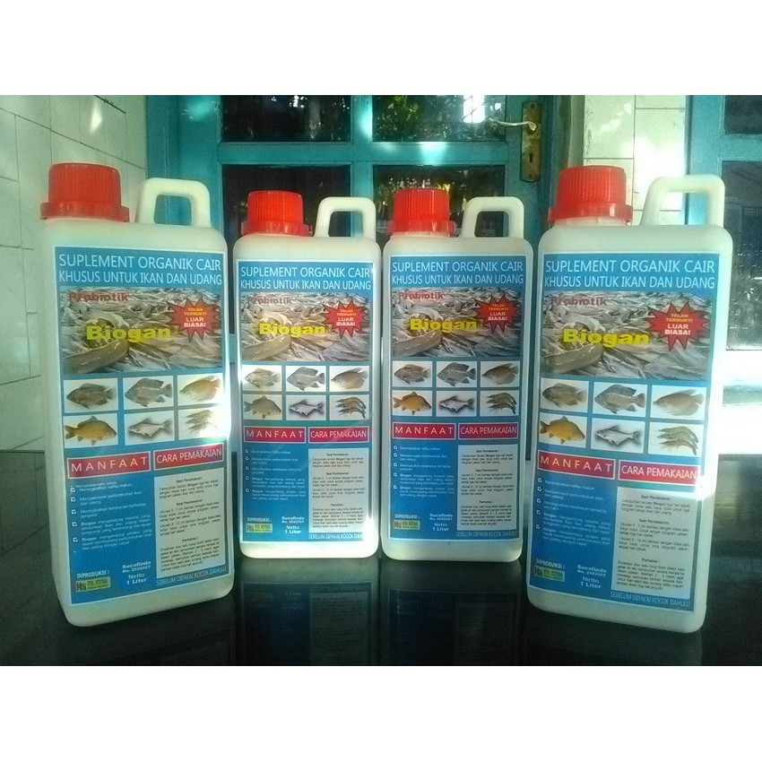 PROBIOTIK BIOGAN UNTUK TAMBAK UDANG DAN BUDIDAYA LOBSTER AIR TAWAR