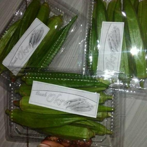 

Paling Popular✴ Buah okra hijau segar D80