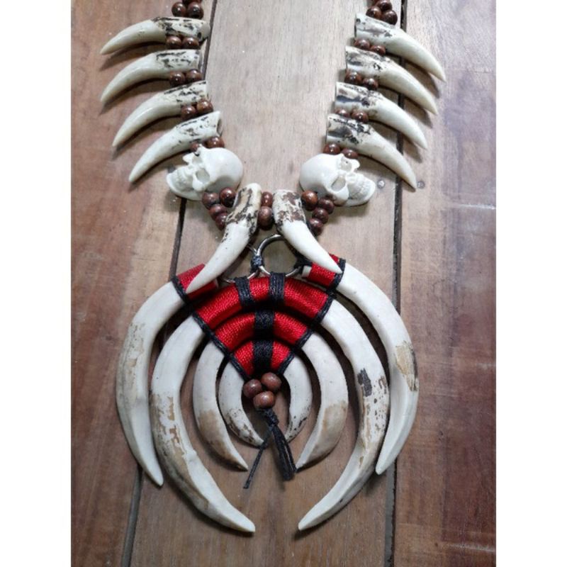 kalung taring babi etnik dayak kalimantan