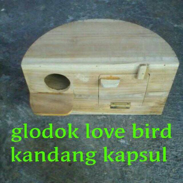 Ternak Lovebird  Dengan Kandang Kapsul Tentang Kolam 