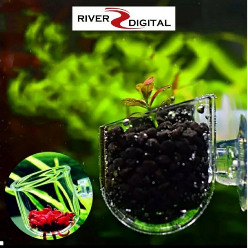 Aquascape Pot Cup Acrylic / Pot Media Tanam Air Akuarium / Tempat Pakan Makan Ikan Cacing Sutera / P