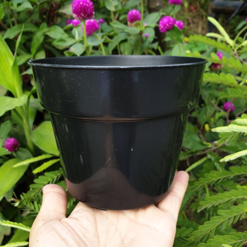 NKT BASIC POLOS 12 cm pot bunga bibit semai biasa merk NKT hitam dan putih murah bagus