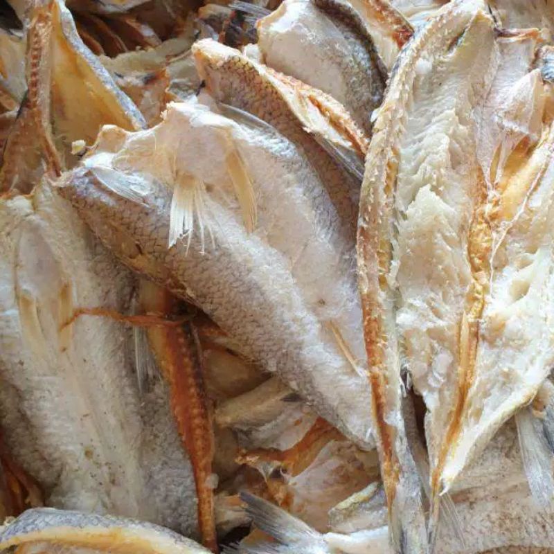 

ikan asin gabus laut 1KG murah