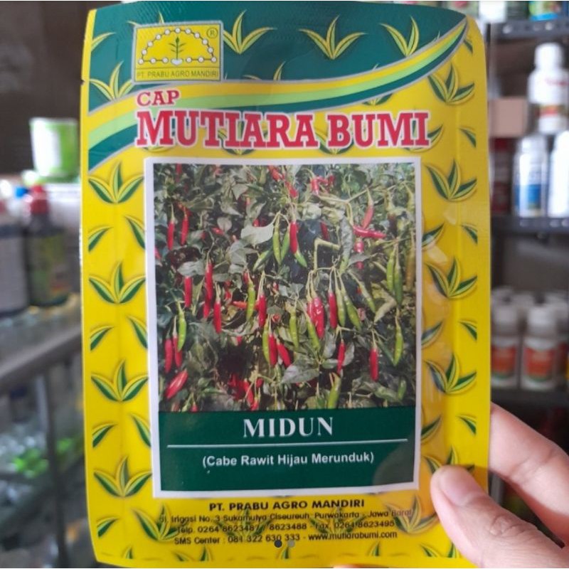 Benih bibit cabe rawit hijau merunduk midun mutiara bumi 10gram