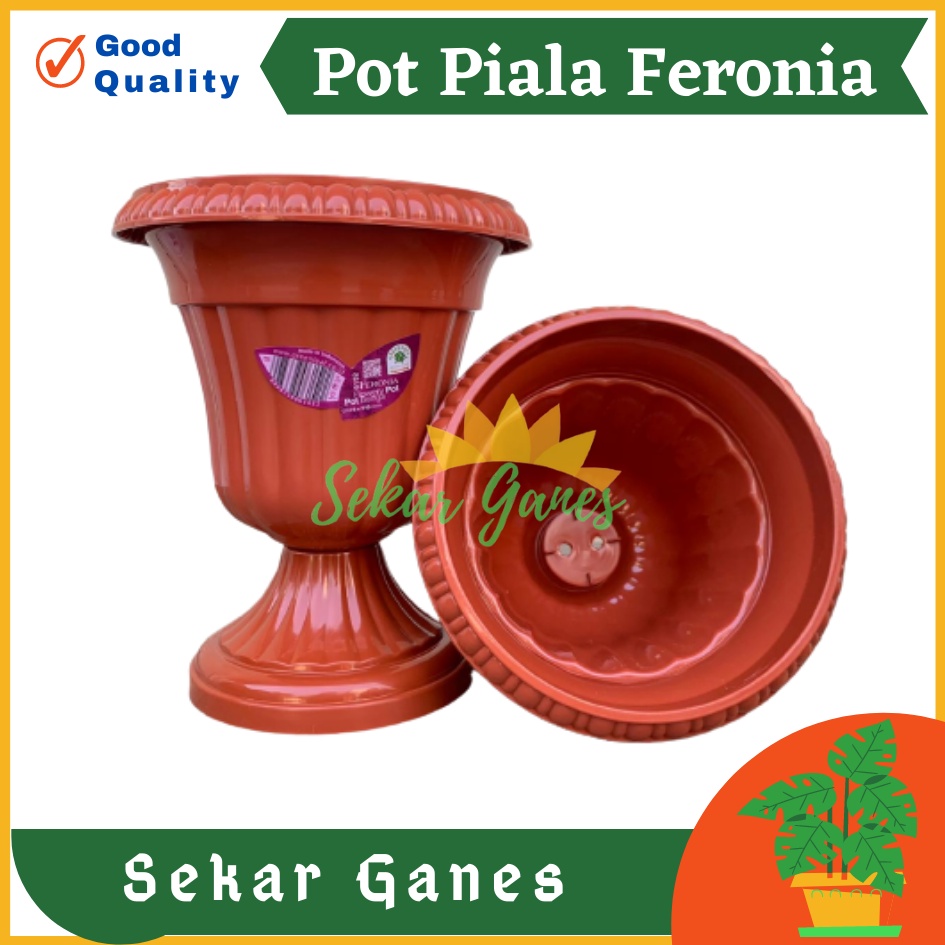 Pot Piala Green Leaf Feronia 6152 Merah Bata Terracota Merah Coklat Pot Piala Tinggi Putih Plastik hitam pendek 50 - Pot bunga tanaman piala feronia putih 18cm - PIALA MINI 6152