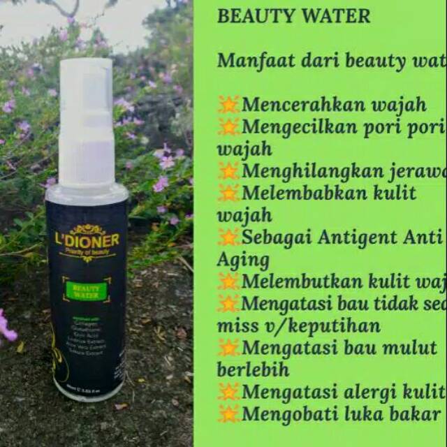 Beauty water L dioner