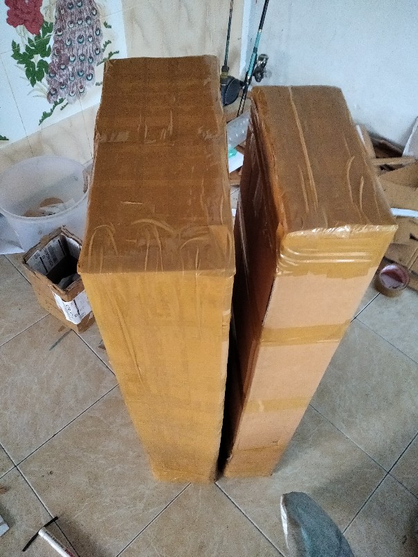 Terlaris  Bibit Tanaman Buah Alpukat Hass Asli!!!!