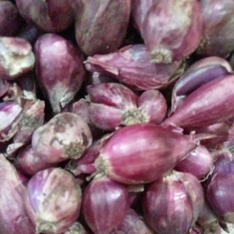 BAWANG MERAH BREBES UKURAN SEDANG 1 KG