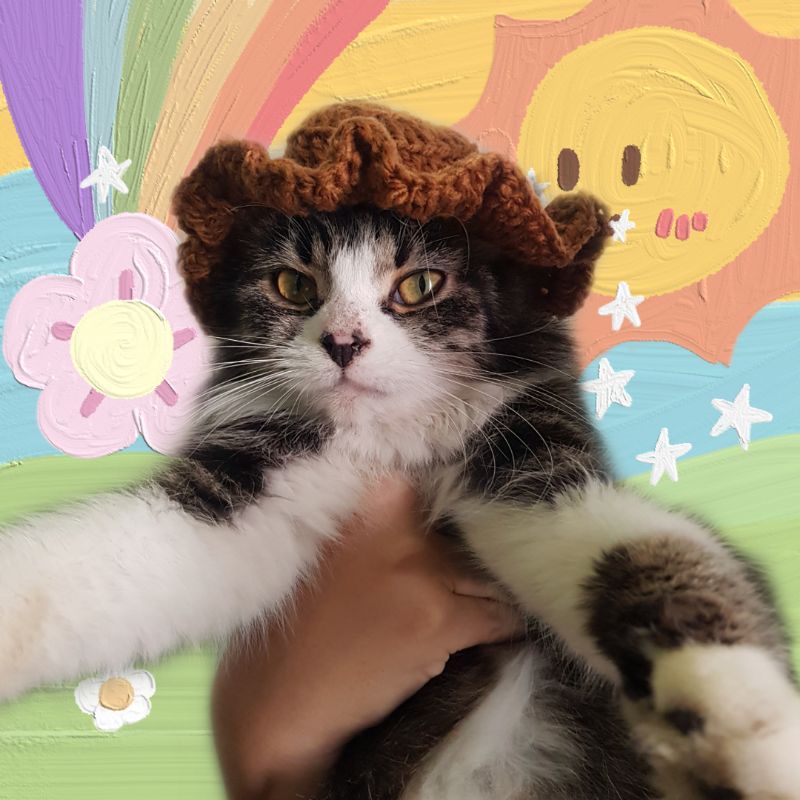 topi kucing rajut handmade