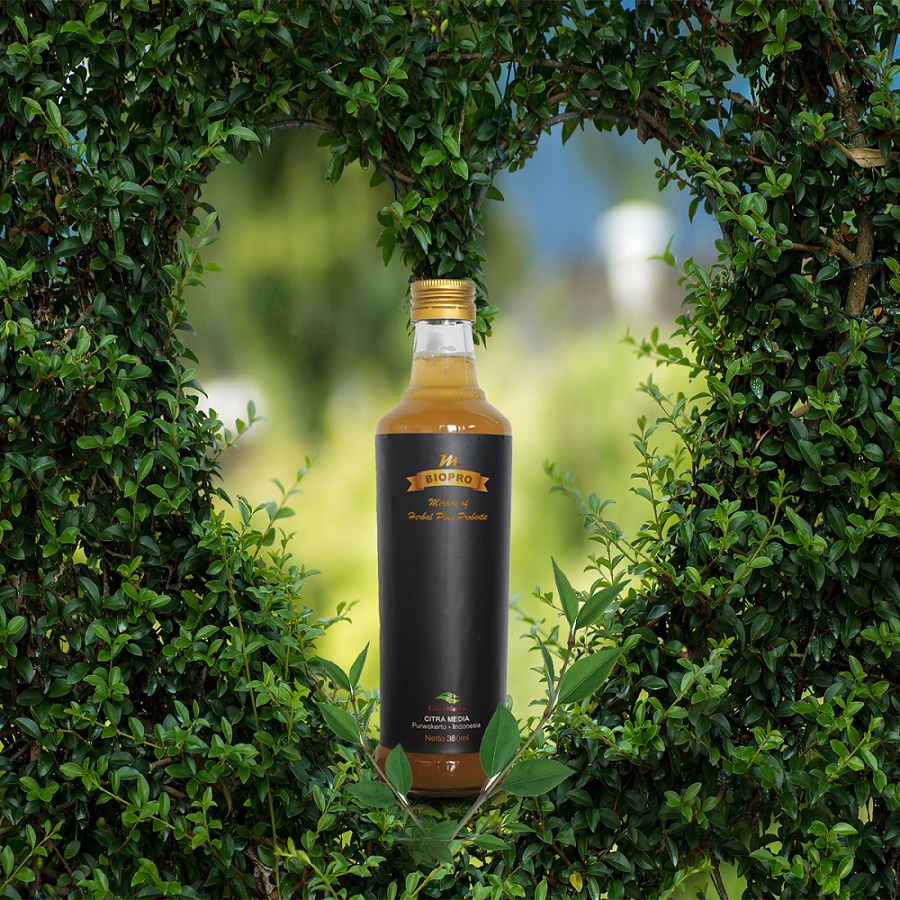 MBiopro Obat Jantung Koroner Bengkak Herbal Probiotik M Biopro M-Biopro Original