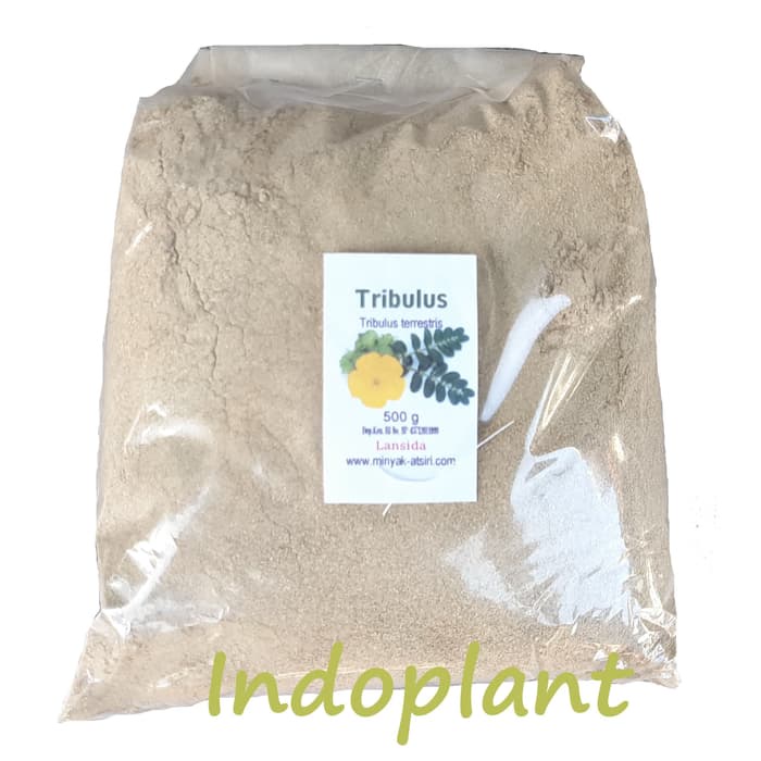 

Serbuk Tribulus Terrestris Murni 500 g Bubuk Rujak Polo Powder Pure Murah