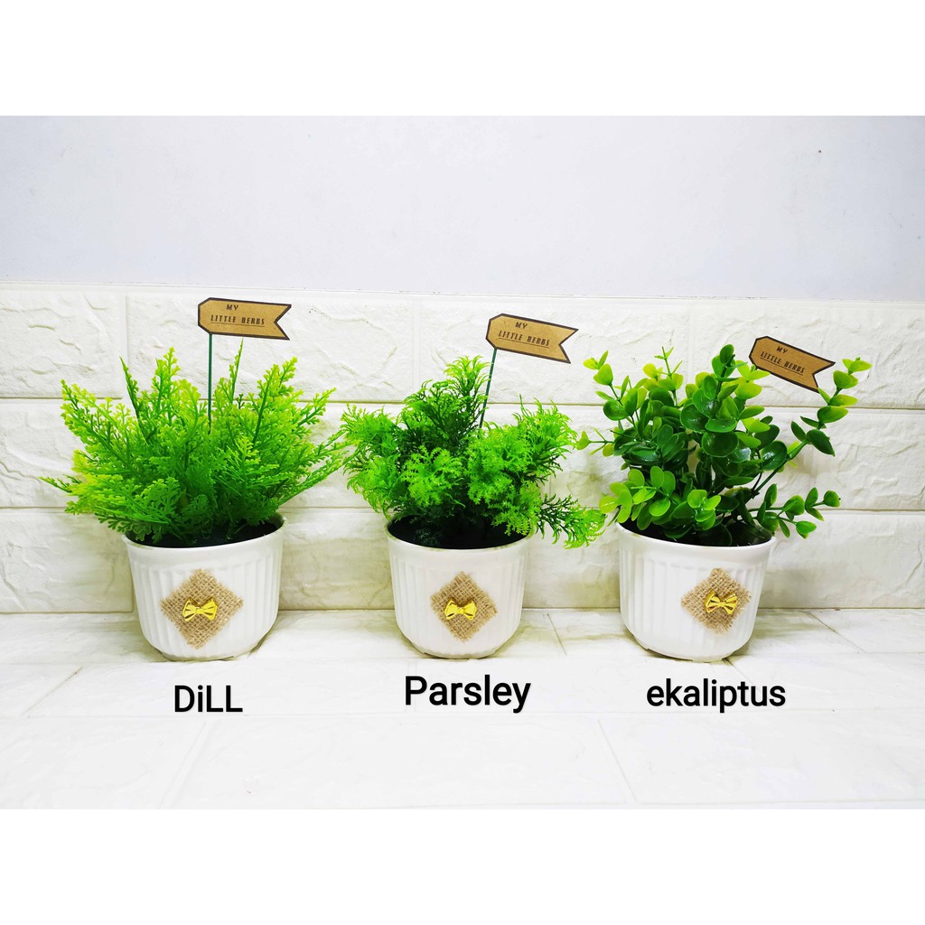 Little Herbs - Pajangan Cantik My little Herbs Pot salur kecil