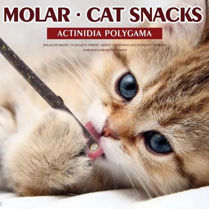 Catnip Kucing Stick Snack Mainan Kucing Natural Matabi Cat Toys Catnip FEFARM