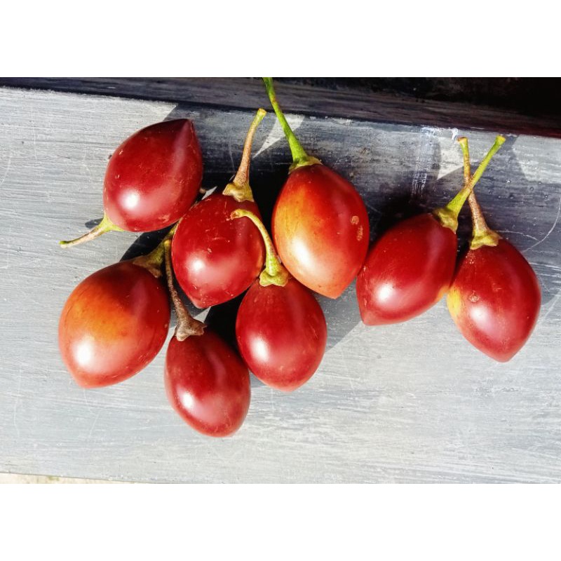 

TERONG BELANDA 1 KG (TERMURAH)