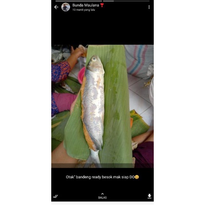 

otak² bandeng