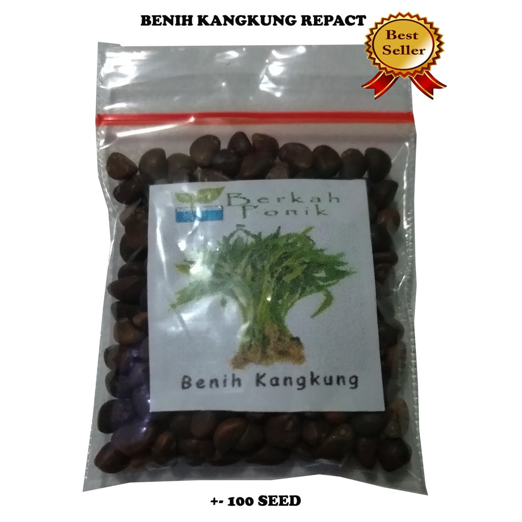 Benih Kangkung / Bibit Kangkung / Biji kangkung Rajawali Repack +-100