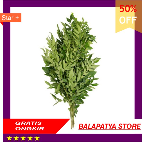 

CUMA HARI INI SAJA!!! 50 Off Daun Kari 10.000 pack porsi ceban