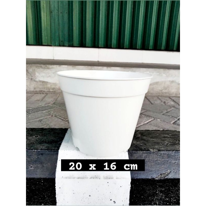 HARGA PER LUSIN. Pot Bunga Plastik Putih diameter 20 cm. Pot Bunga Vanda. Pot Tanaman Hias