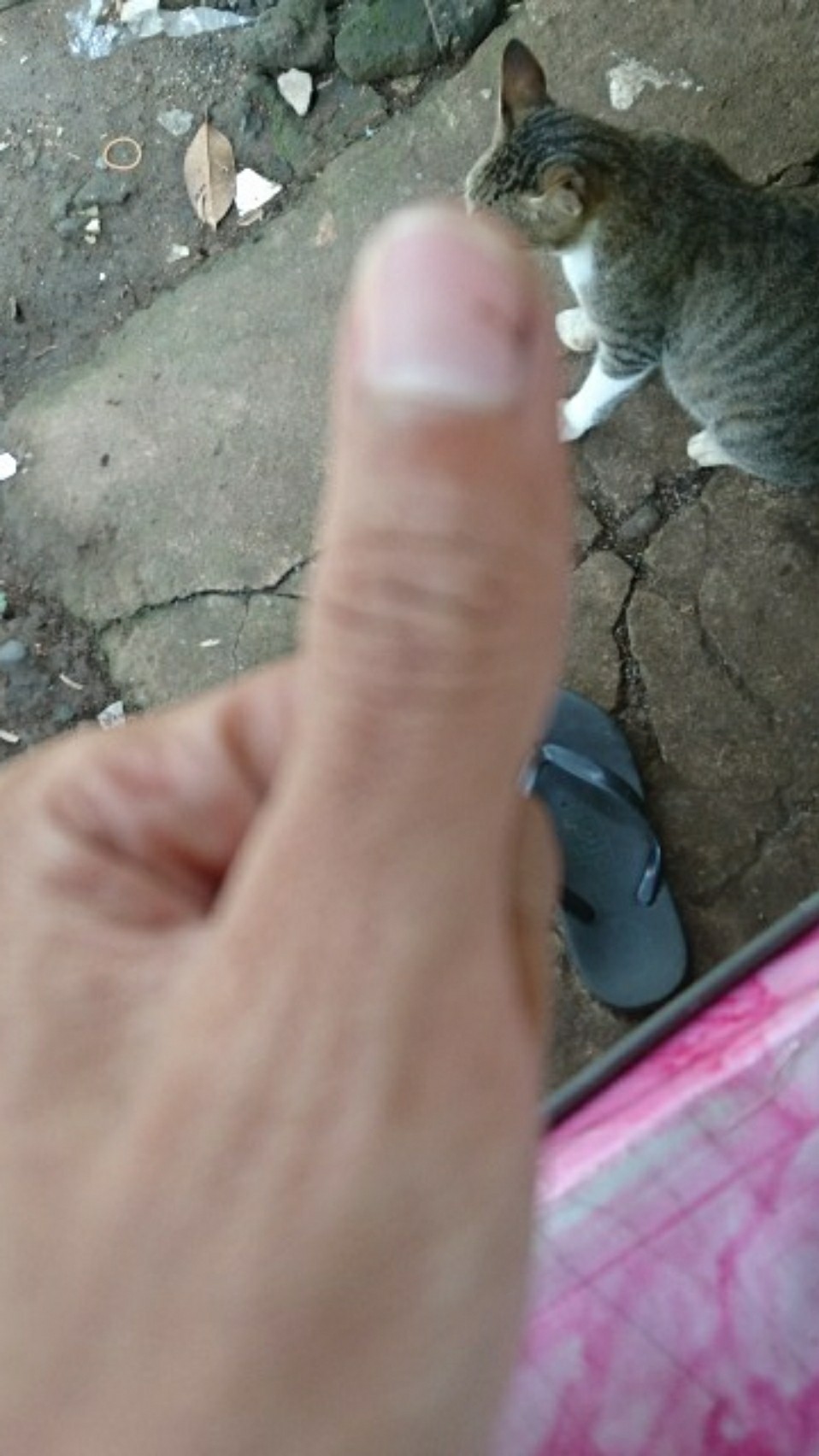 Token/tagihan Listrik