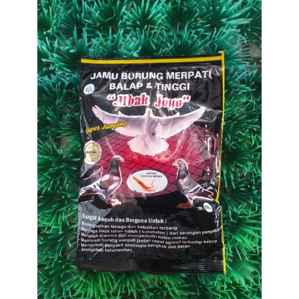 JAMU BURUNG MERPATI BALAP & TINGGI MBAH JOYO