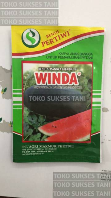 Benih semangka inul hibrida WINDA dari PERTIWI. Isi 20gram-2