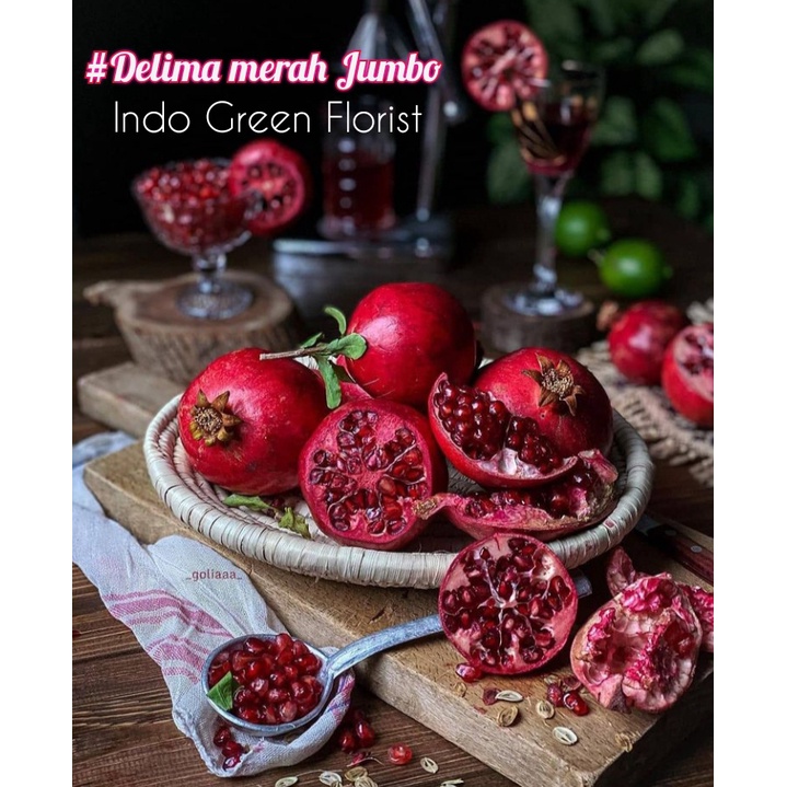 Bibit Delima Merah Jumbo Sudah Berbunga / Tanaman Delima Merah / Delima Merah Jumbo Spesial Tambulam