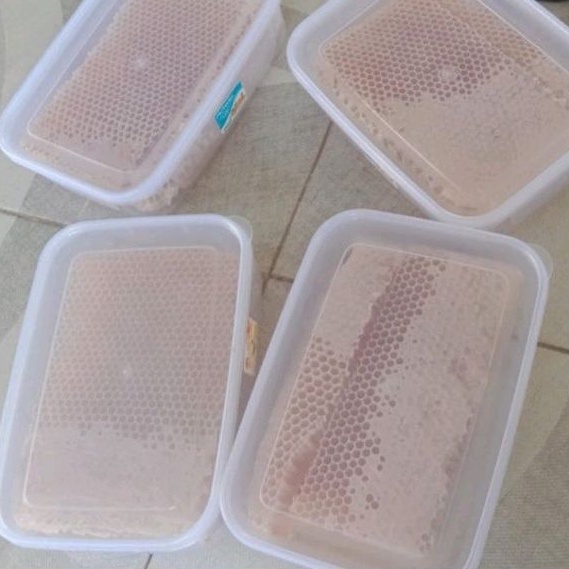 

MADU SARANG ASLI100%