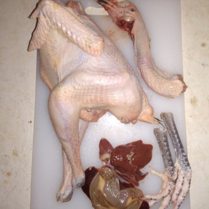 

Ayam kampung hidup potong