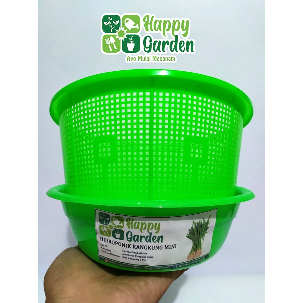 PAKET HIDROPONIK KANGKUNG LENGKAP MURAH PRAKTIS