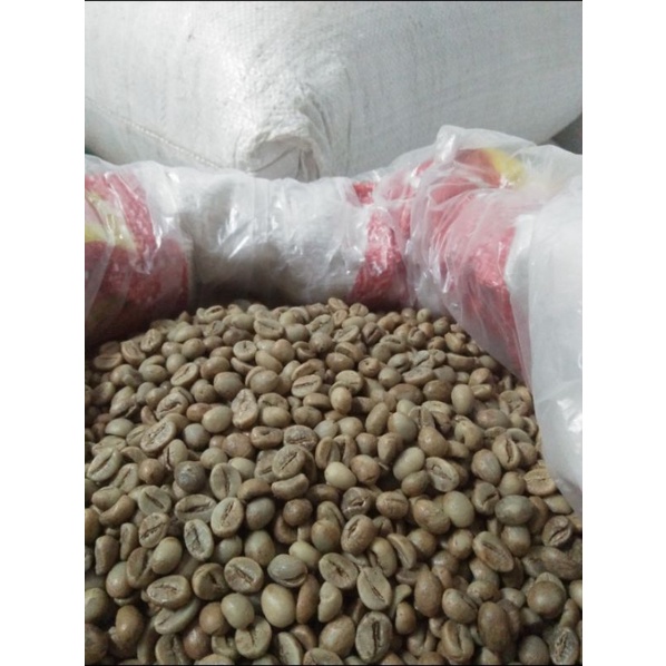 

Robusta Natural Temanggung