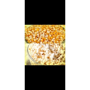 

jagung pop cron