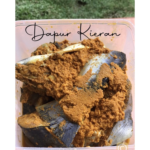 

Ikan patin 1KG ungkep bumbu kuning Siap goreng ikan fresh ikan patin ungkep bumbu kuning, ayam ungkep bumbu kuning