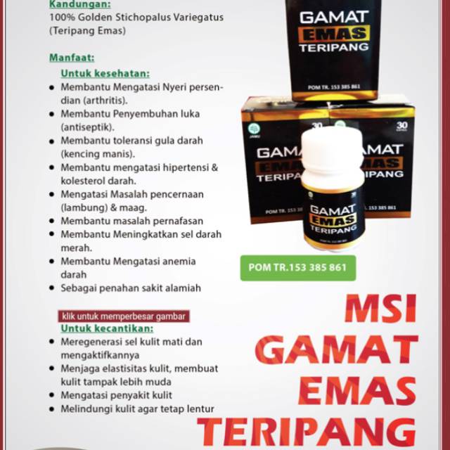 Gamat Emas Teripang Msi Indonesia