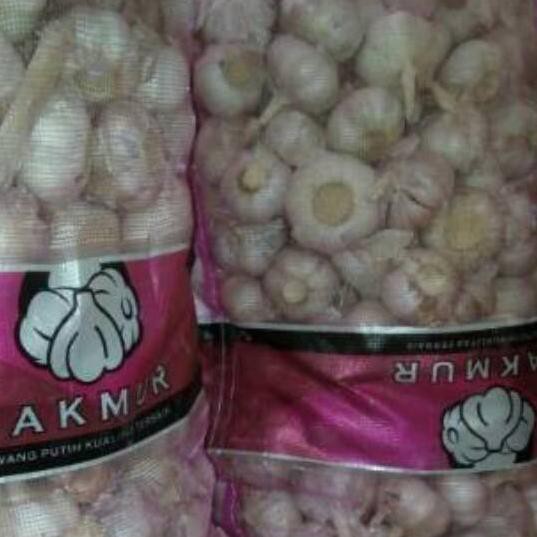 

Segera Dapatkan Bawang Putih Honan KOTOR per 1 kg DE9+