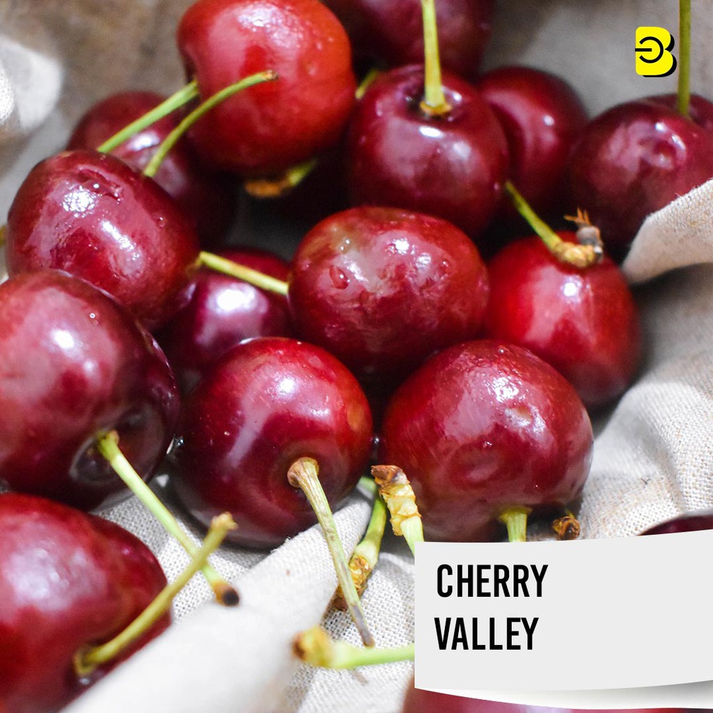 BUAH CHERRY VALLEY FRESH BELIDIKITA | BUAH CERI SEGAR CERI VALLEY TERMURAH