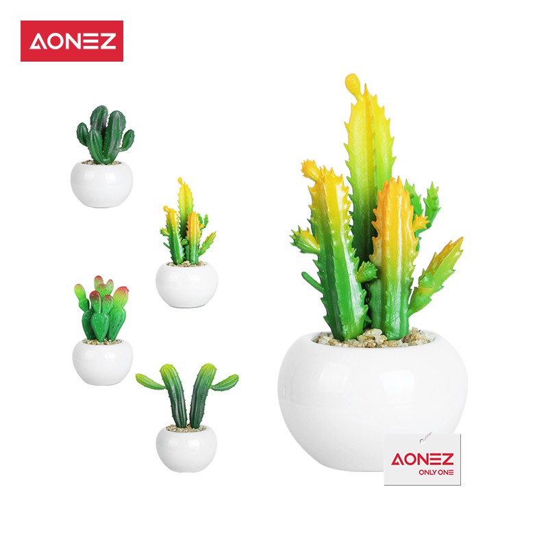 Aonez bunga hiasan  kaktus hias dengan pot  keramik tanaman 