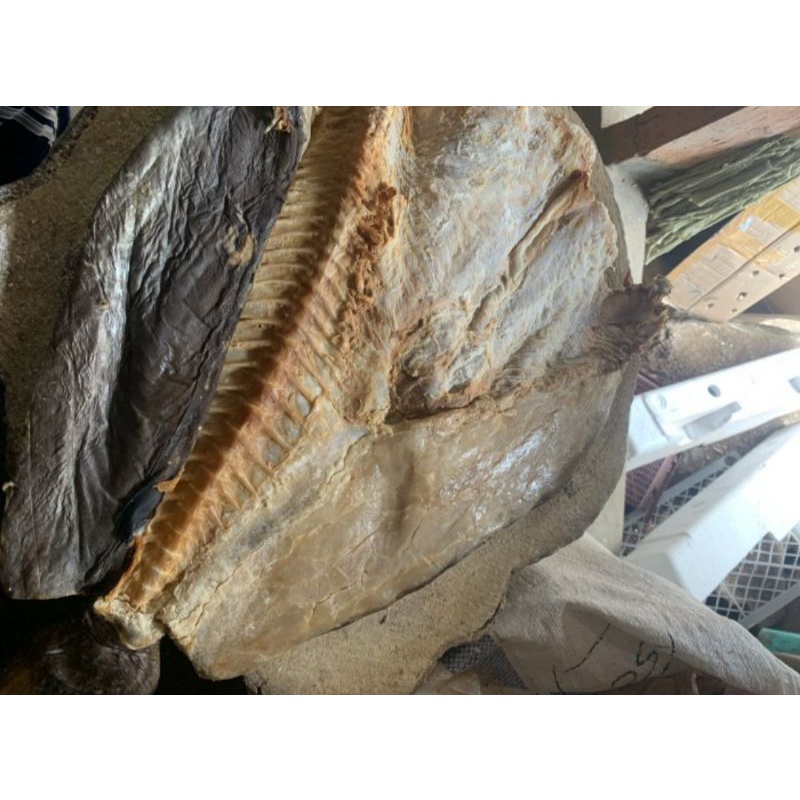 

jambal/asin jambal/ikan jambal roti 1kg