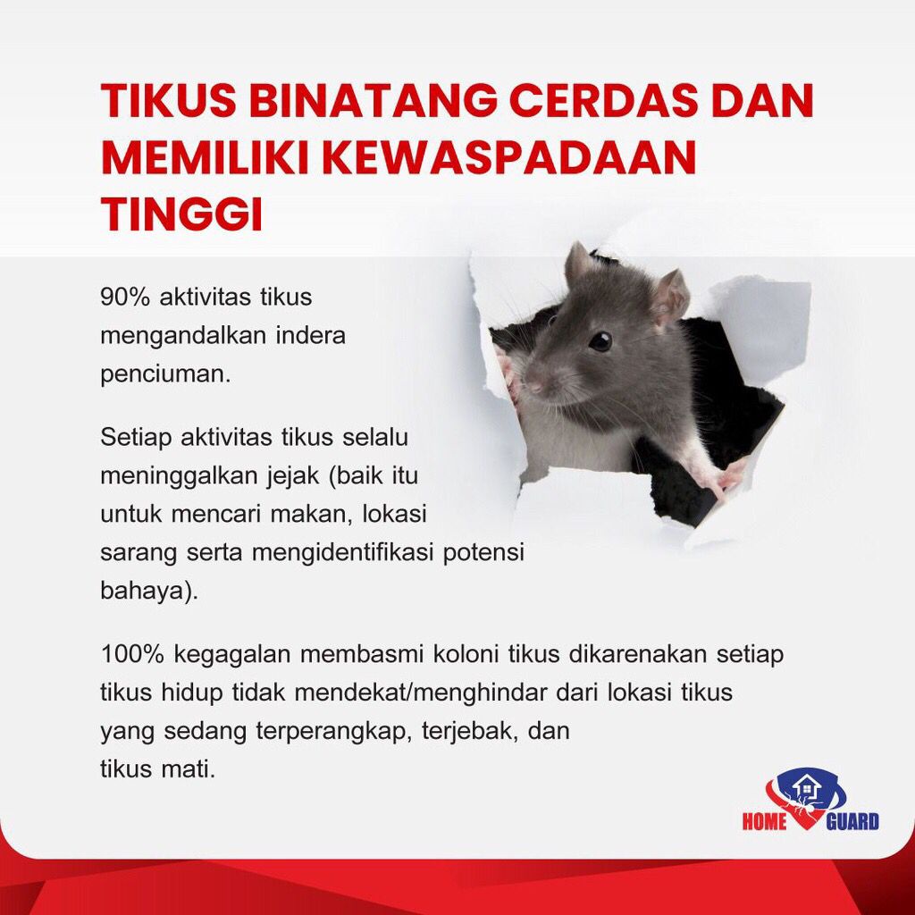 HOME GUARD RATS KILLER 200gr &amp; 100gr Racun Tikus Mati Kering / Homeguard Rat Poison / Pembasmi Tikus  / Tidak Meninggalkan Bau